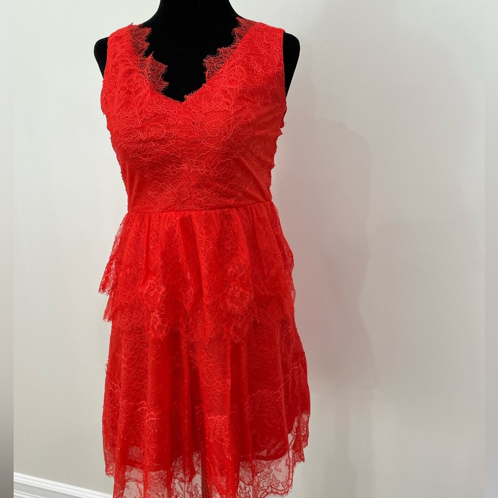 BCBG Womens Dress